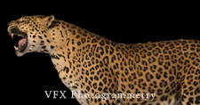 VFX Photogrammetry Los Angeles